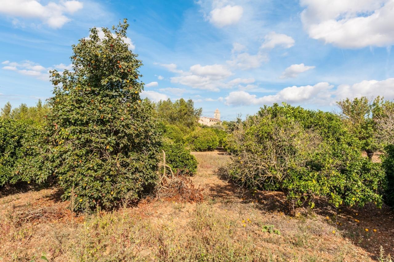 Ses Covetes Villa Petra  Kültér fotó